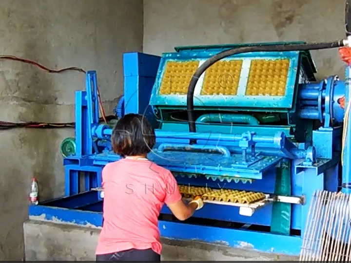 egg tray machine in operation at the factory